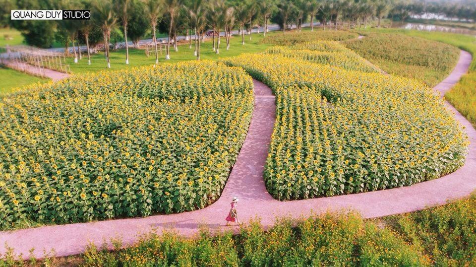 Sue Homestay Ecopark Hung Yen Exterior photo